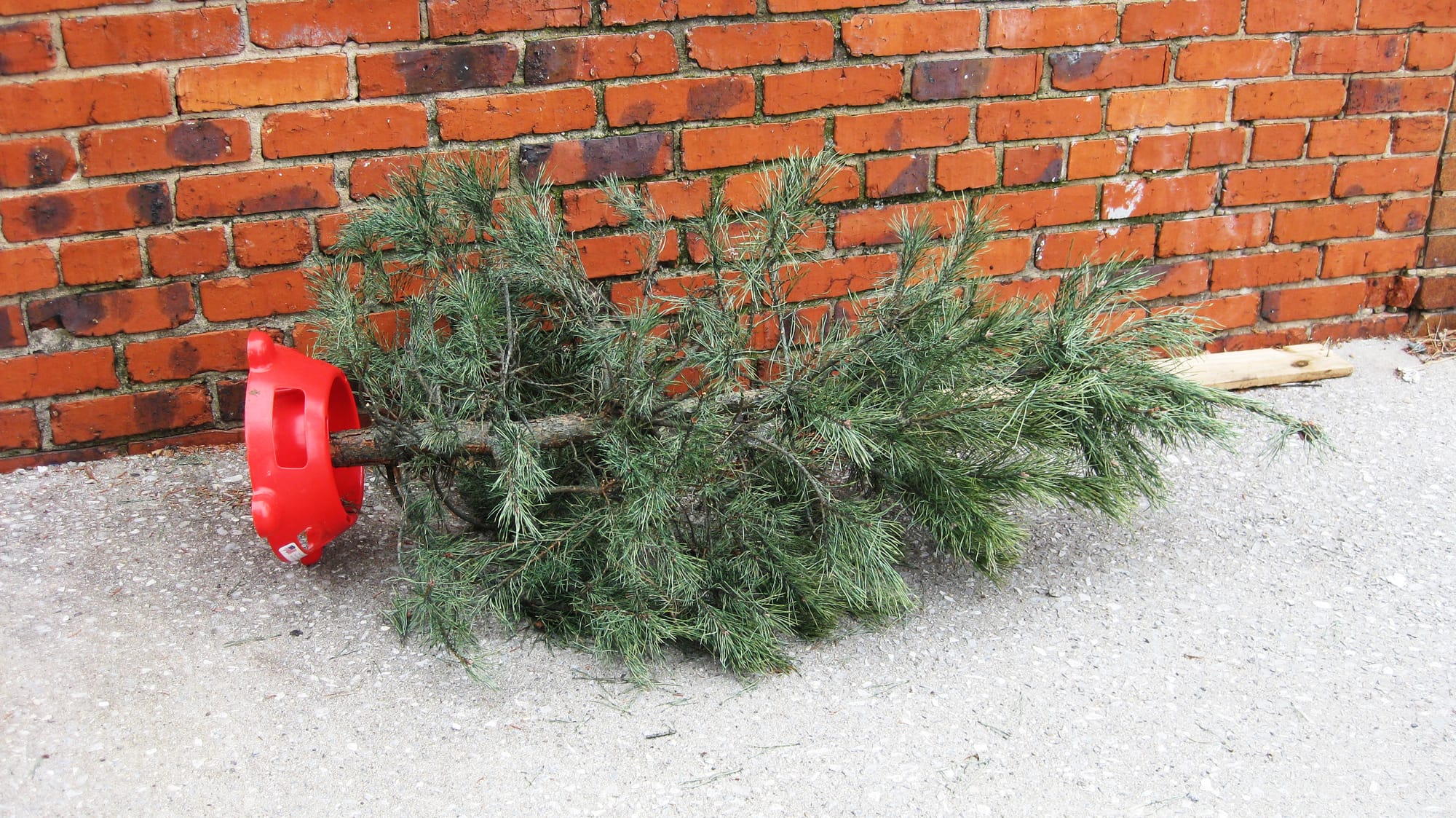 A photograph of a small artificial christmas tree lying on the ground in a Baltimore alley.