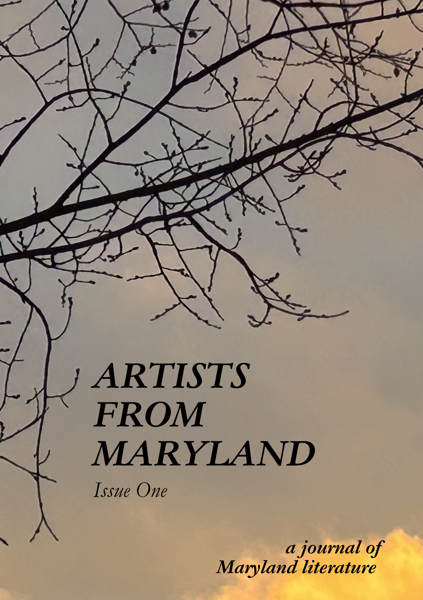 JULY 2024: Artists from Maryland Issue One